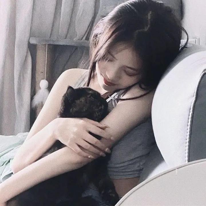 监狱犬计划